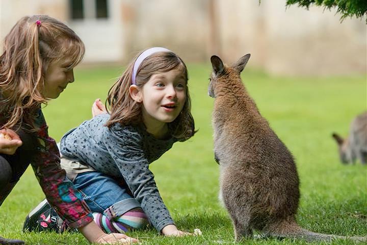 Camping de Brouel- zoo de Branféré pour apprendre - Camping de Brouel - Ambon