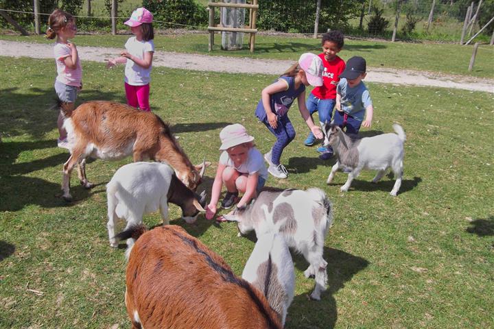 Camping de Brouel- parc animalier de Branféré, rencontre  - Camping de Brouel - Ambon