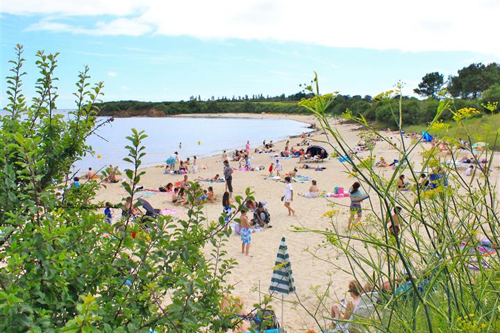 Camping de Brouel- plage de Tréhervé à 4 km - Camping de Brouel - Ambon
